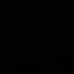 Meet your Posher, Riley